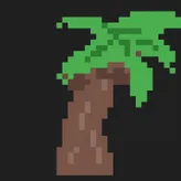 Coconut-Tree