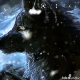 Fallenwolf