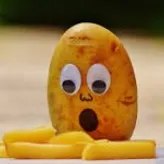 Irish2Potato