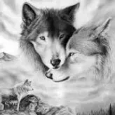 love-wolves