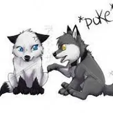 Female-wolf