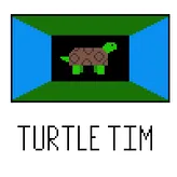 Turtle-Tim