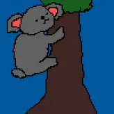 KK-KOALA