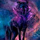 nlb-chapa-furry