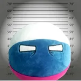 neontetraa