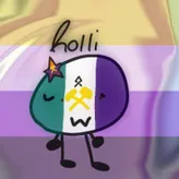 hollihollz