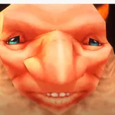 Skoichungorg