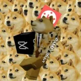 Dogechaos