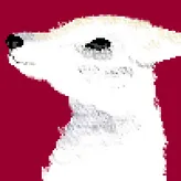 Mushu10