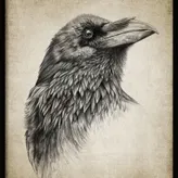 winterRaven