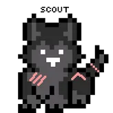 Scouty