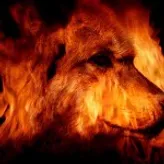 FlameWolf