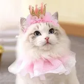 TheMissKitty