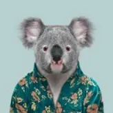 KoalaStudios