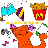BrightOrangeCat