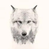 Wolfy101