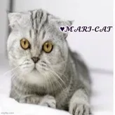 MAR-CAT