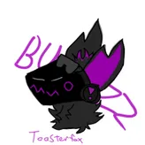 Toaster-fox