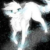 snowfur12345