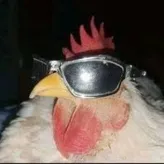 Chickendude