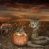 Snake-Cat-God
