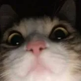 Xopdocaramba