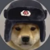 Vladimir-Doggo