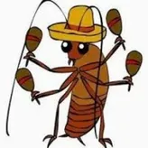 laCucaracha13