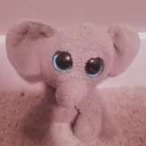 Daromi