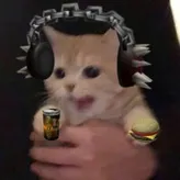 XSadvibiesx
