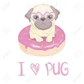 the-donut-pug