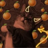 Kittenwishes