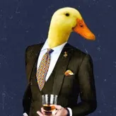 human-duck