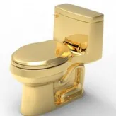 GoldenToilet