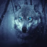 The-lone-wolf