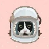 space-cat01