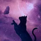 ThePurpleCat