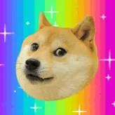 Dogethemagic