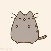 pusshiw-cat