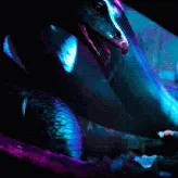 RavenclawOccamy