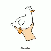 CanKnotDraw