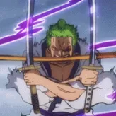 swordmenZoro