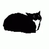 MisterMeaner