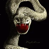 SnakeKingorg