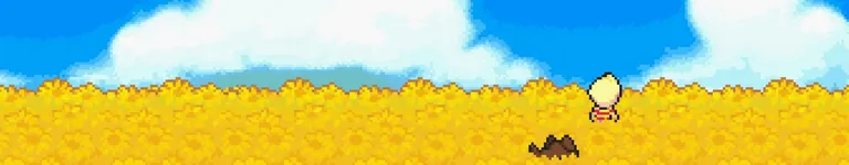 Relm Banner