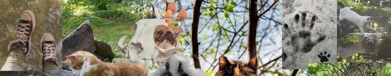 purgemyurges Banner