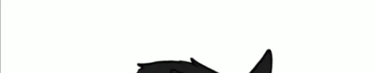CinderStormWC Banner