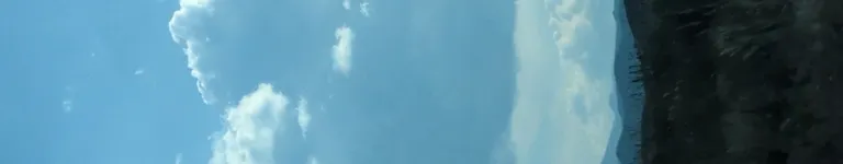 Livingonthemoon Banner