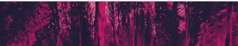 Liminal Banner