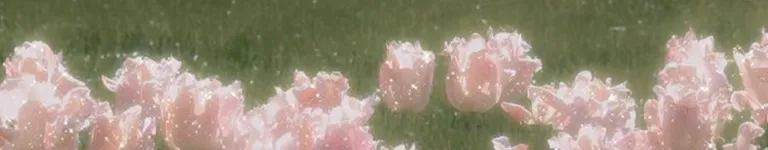 straykidsStay1 Banner